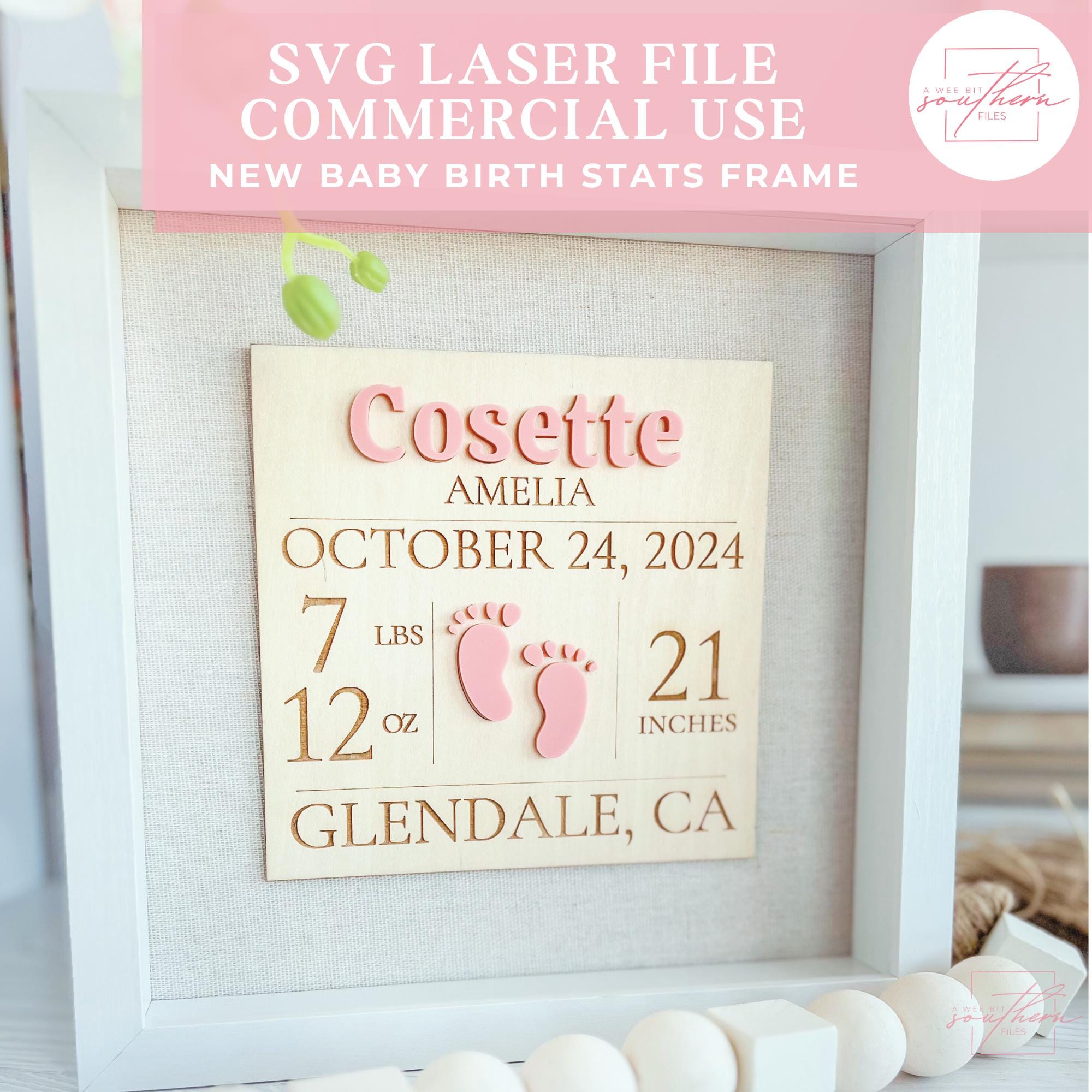 Birth stats frame for newborn SVG File